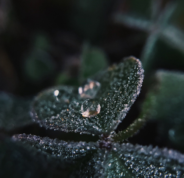 VCG41N1132609307.jpg