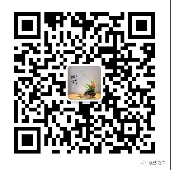 1610077399441940.jpg